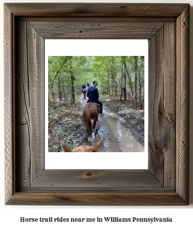 horse trail rides near me in Williams, Pennsylvania